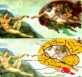 /album/daily-images/creationofadamdetail-jpg/